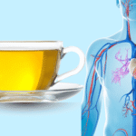 Best Teas for Gut Health: 7 Brews That Work No Pills Needed 