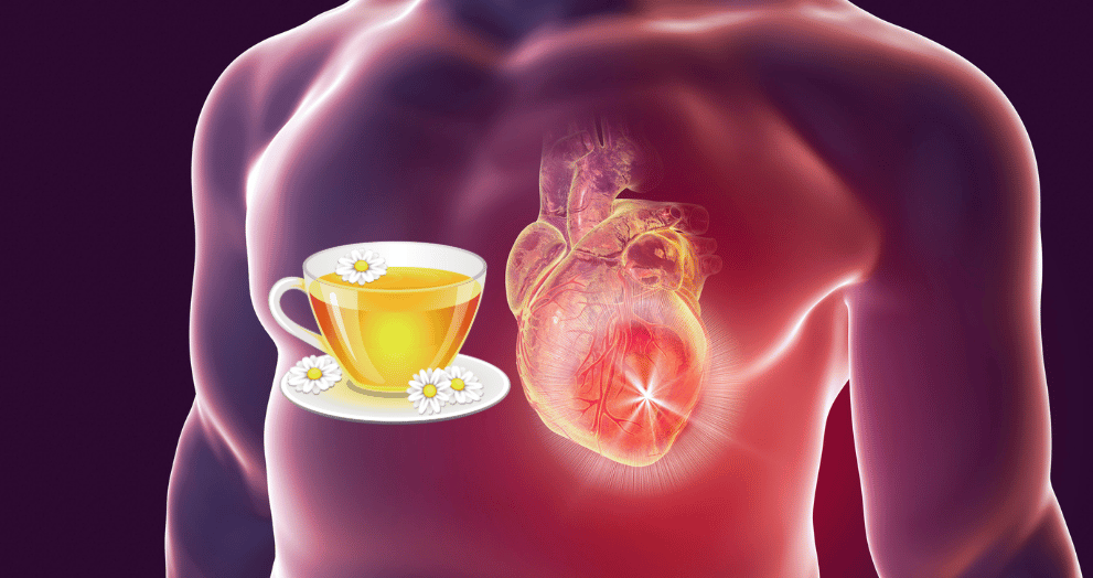 Cup of chamomile tea beside a glowing human heart illustration, representing chamomile tea benefits for heart palpitations