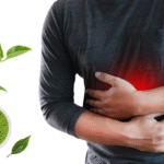 Oolong Ginseng Tea Guide Health Benefits, Price, Weight Loss